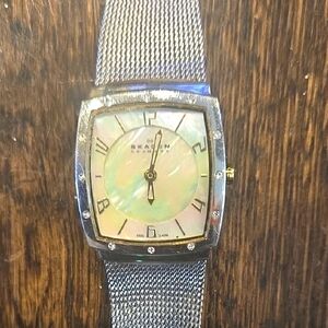 Skagen Silver Mesh Watch with Mother of Pearl Dial